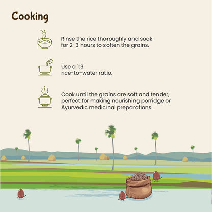 Rajamudi Organic Navara Rice 2 Kg: A Taste of Ancient Wisdom