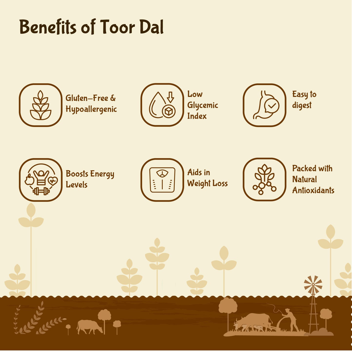 Organic Toor Dal 2kg | Unpolished Arhar Dal | High in Protein & Fiber| Certified Organic - Rajamudi Organics